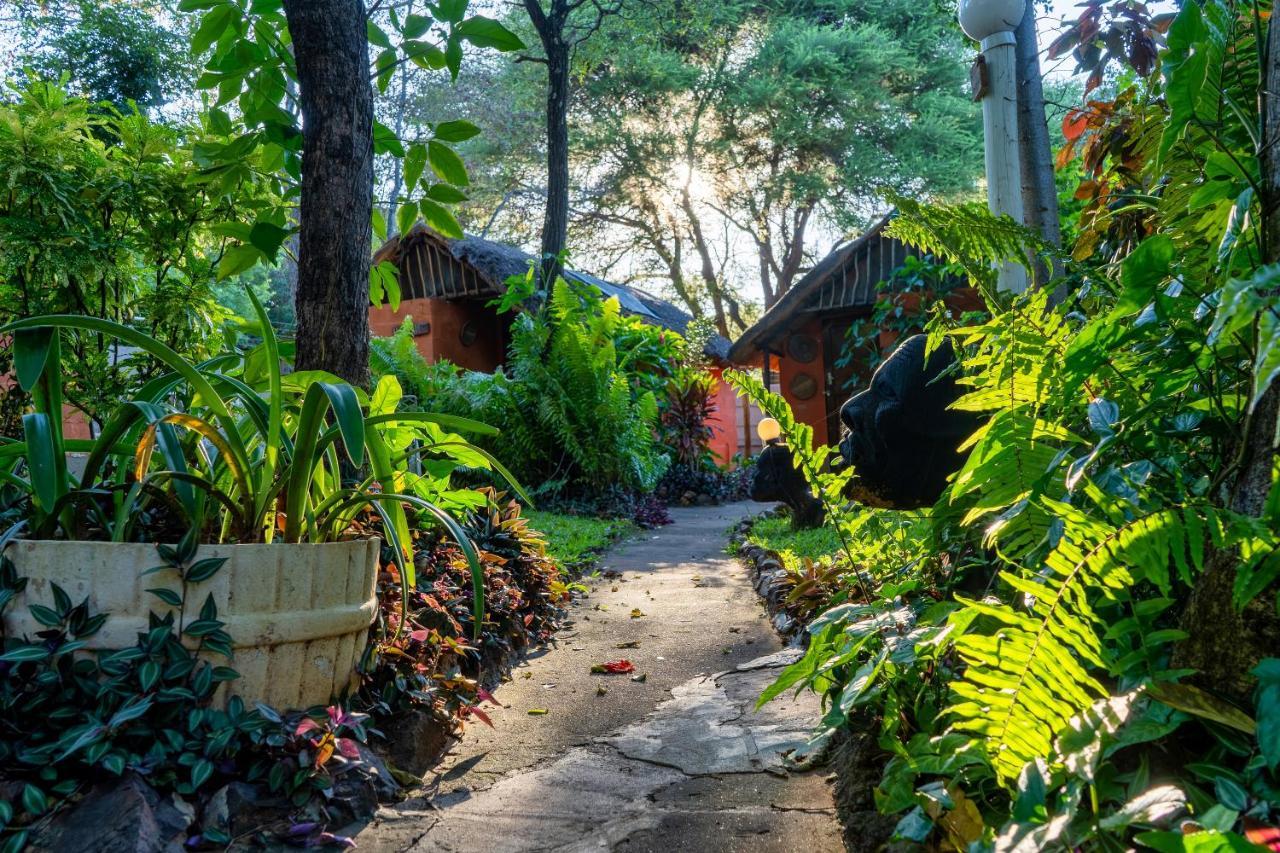 Victoria Falls Backpackers Lodge Eksteriør billede