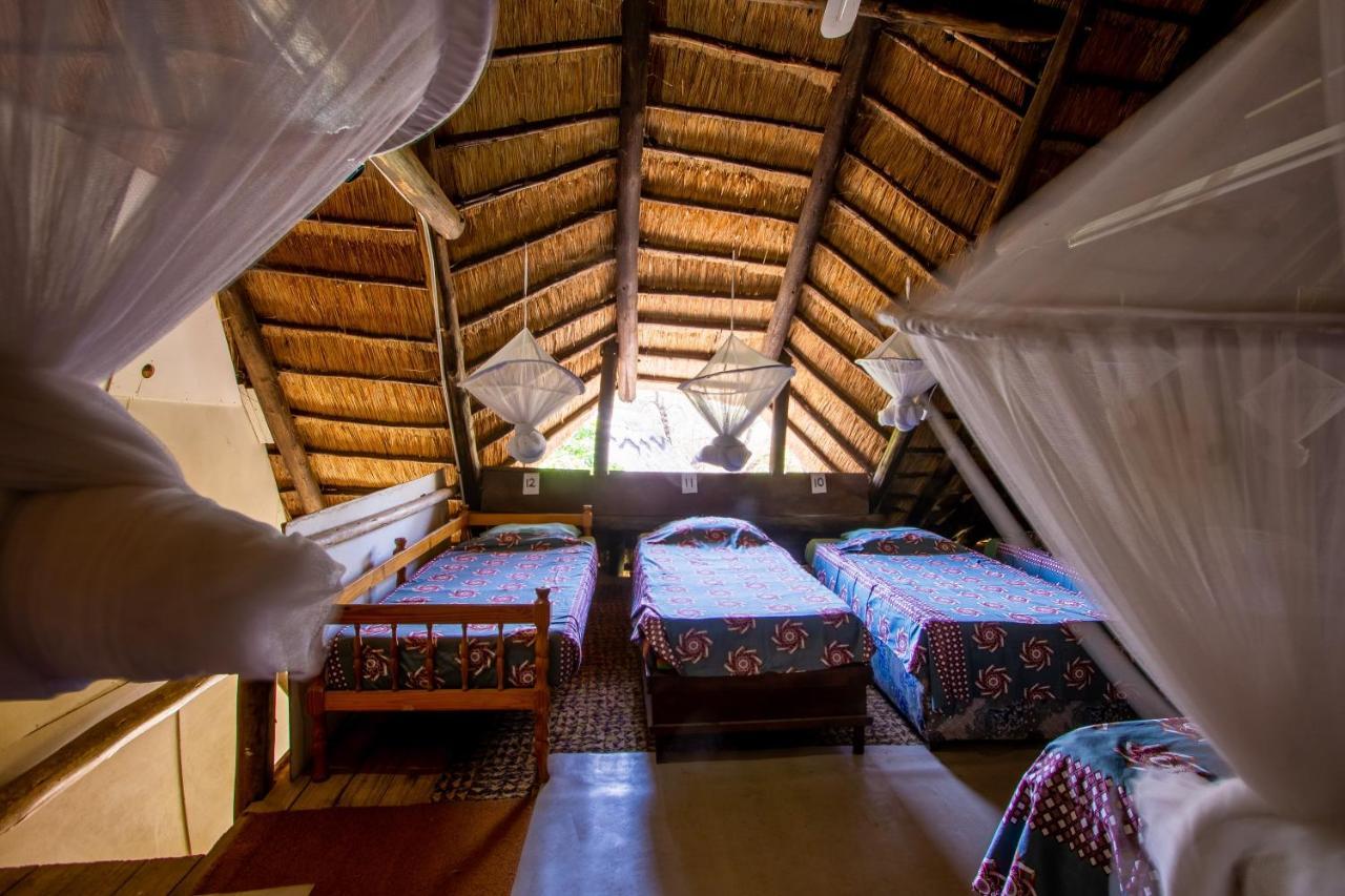Victoria Falls Backpackers Lodge Eksteriør billede