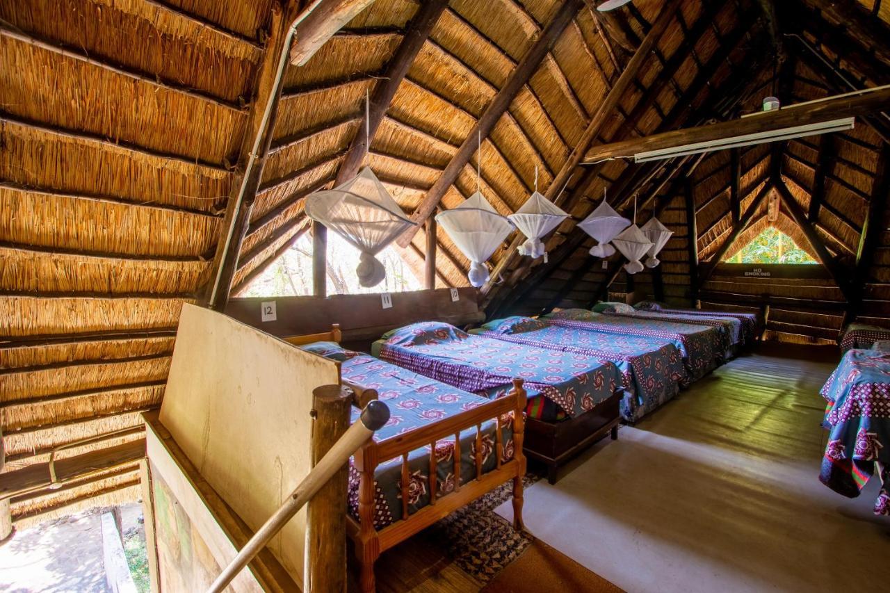 Victoria Falls Backpackers Lodge Eksteriør billede