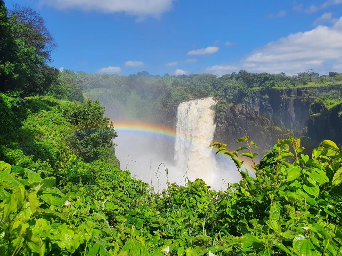 Victoria Falls Backpackers Lodge Eksteriør billede