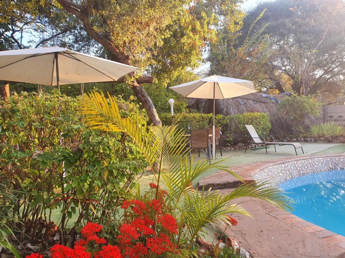 Victoria Falls Backpackers Lodge Eksteriør billede