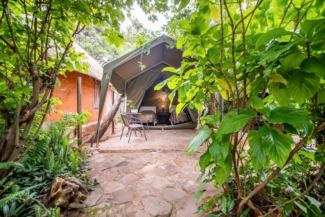 Victoria Falls Backpackers Lodge Eksteriør billede