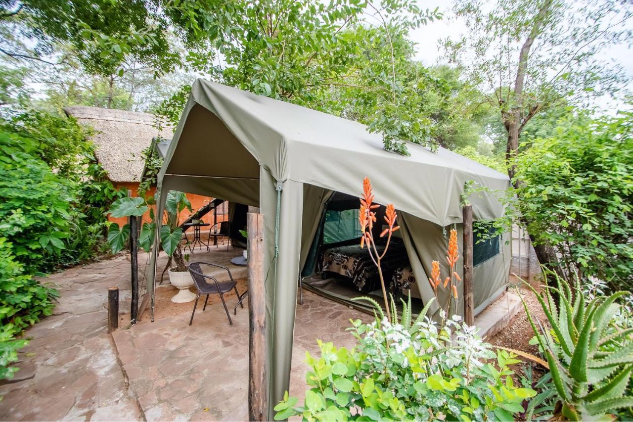 Victoria Falls Backpackers Lodge Eksteriør billede