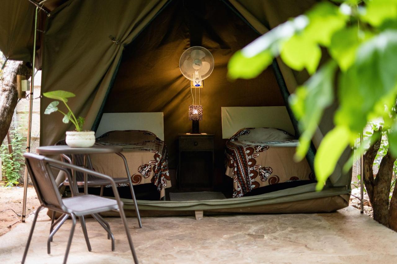 Victoria Falls Backpackers Lodge Eksteriør billede