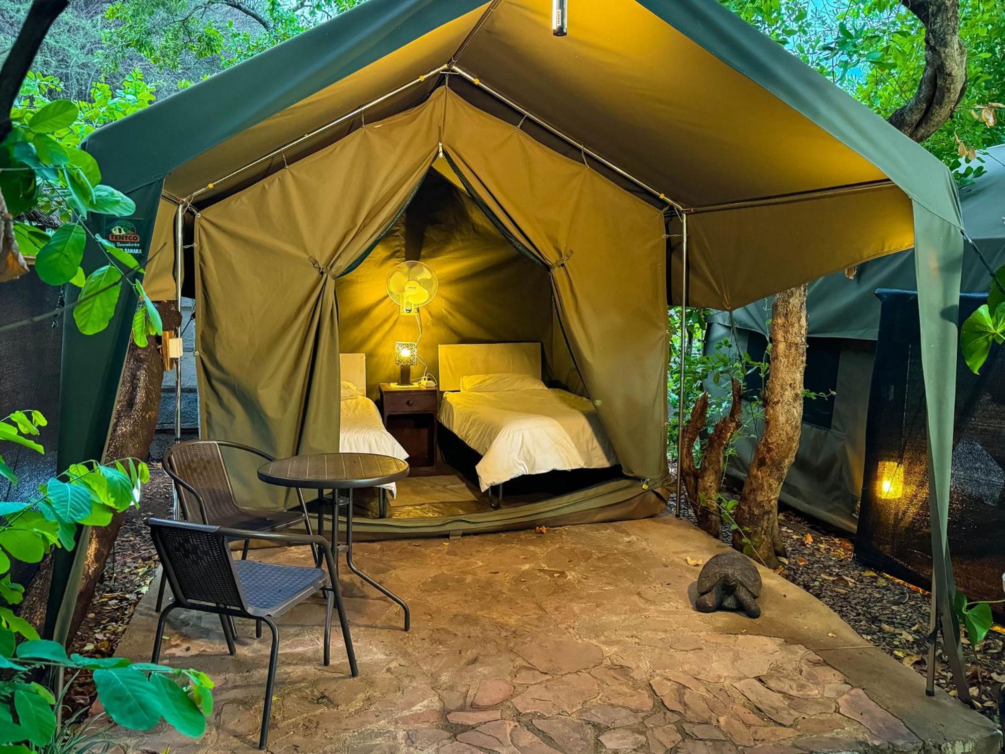 Victoria Falls Backpackers Lodge Eksteriør billede