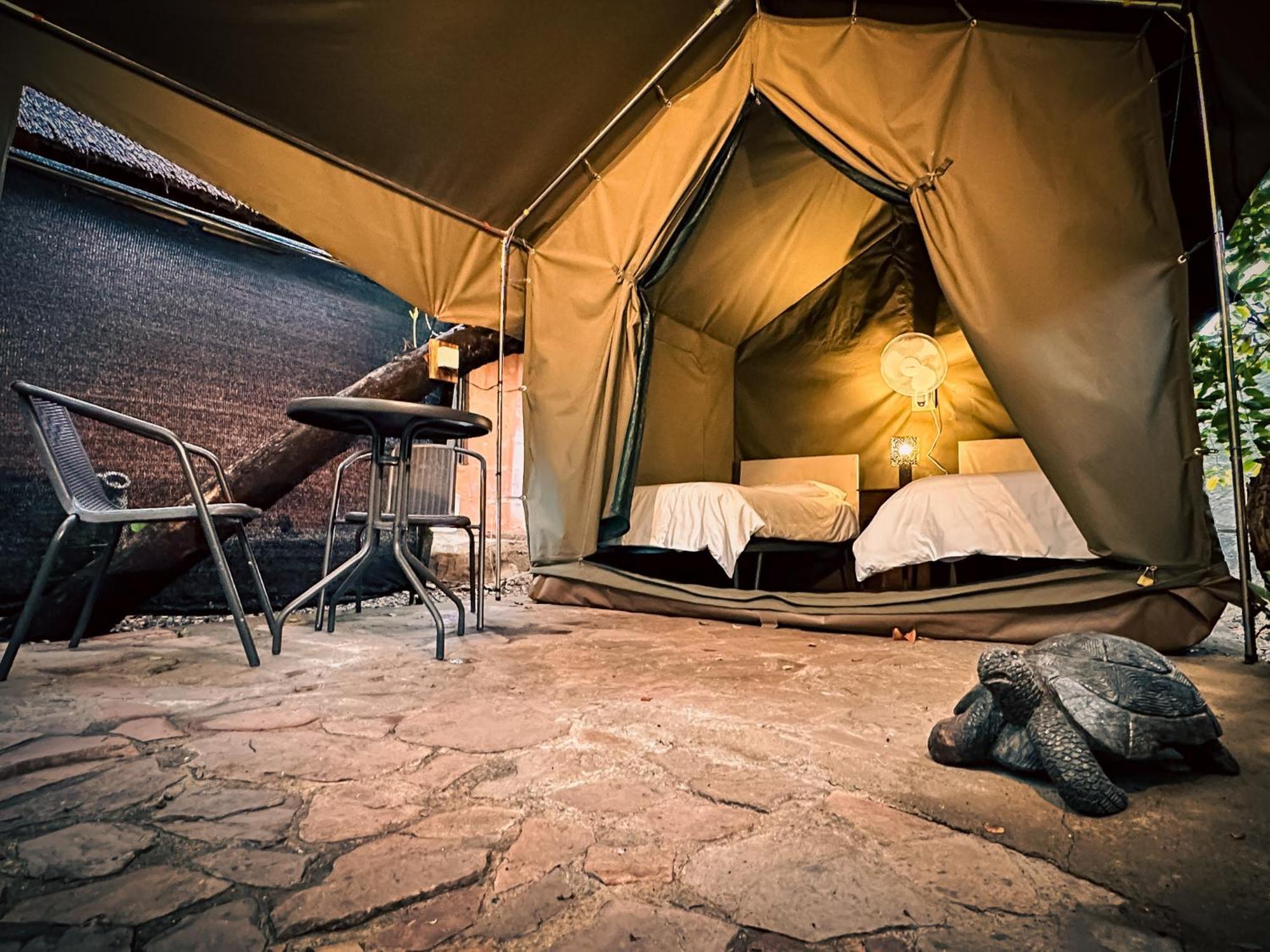 Victoria Falls Backpackers Lodge Eksteriør billede