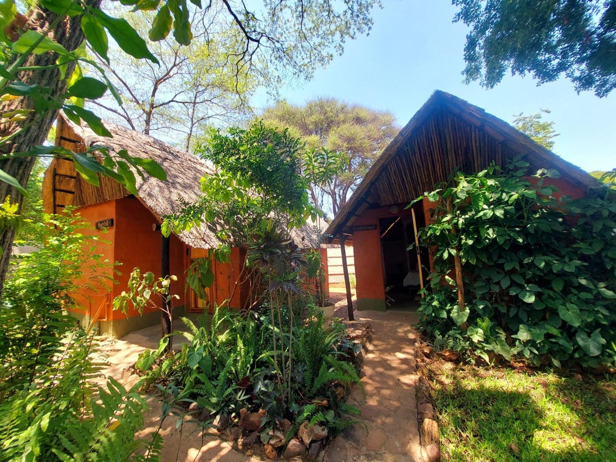 Victoria Falls Backpackers Lodge Eksteriør billede