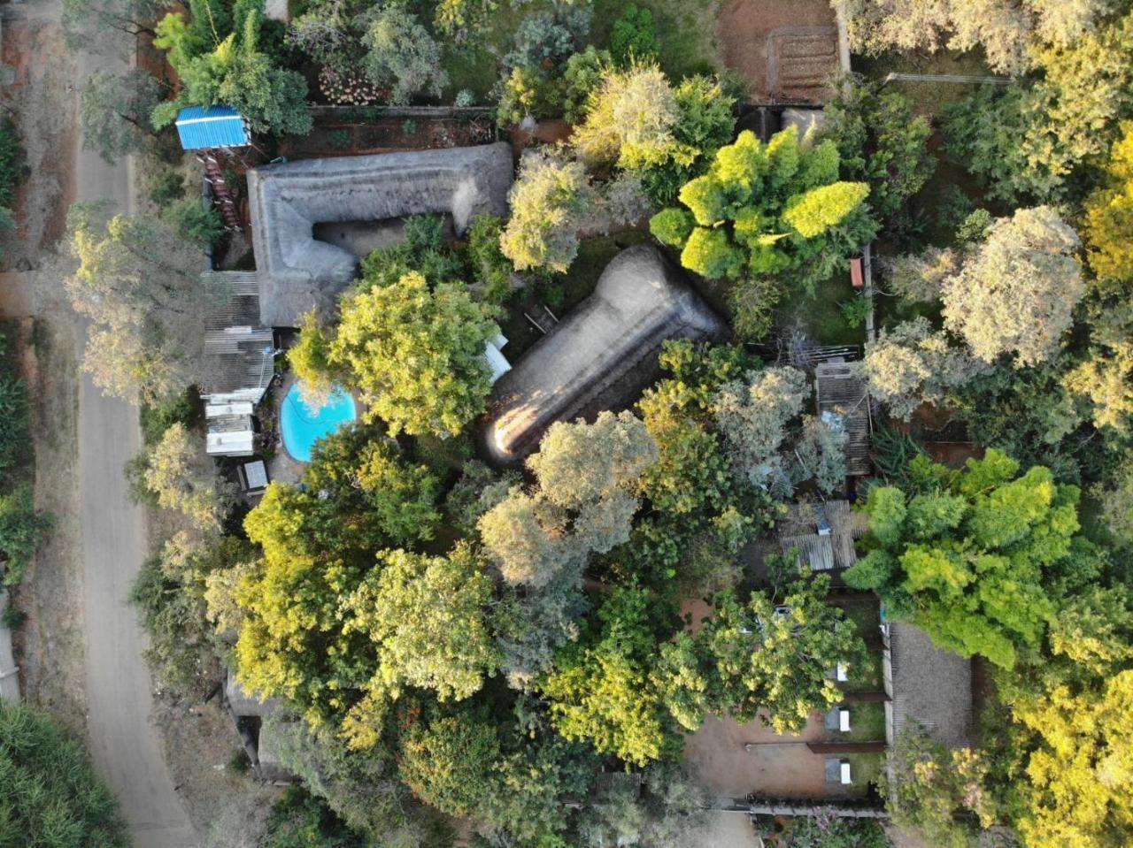 Victoria Falls Backpackers Lodge Eksteriør billede