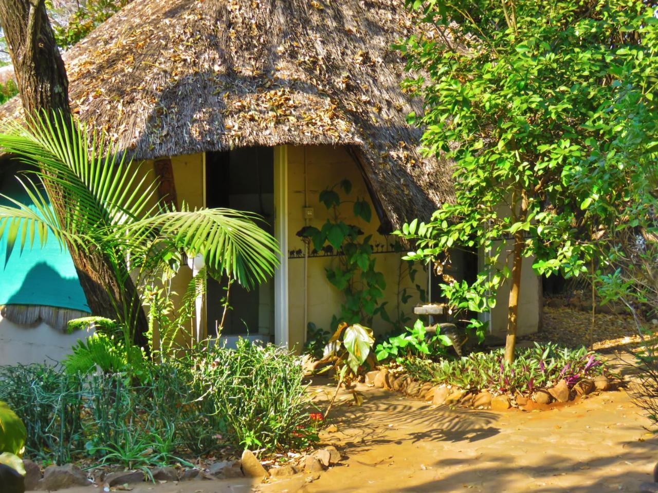 Victoria Falls Backpackers Lodge Eksteriør billede